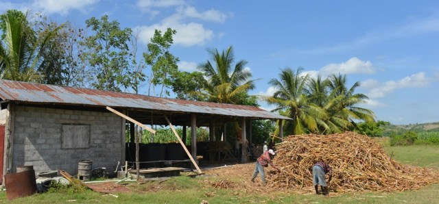 la-distilleria-rhum-fritz-vaval